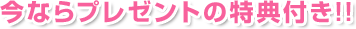 今ならプレゼントの特典付き!!