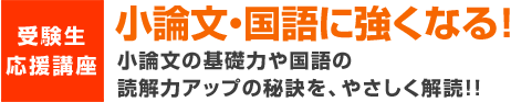 小論文・国語に強くなる！小論文の基礎力や国語の読解力アップの秘訣を、やさしく解説!!